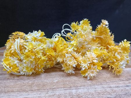 Small Yellow Flower With White Tip 60 LED String Fairy Lights